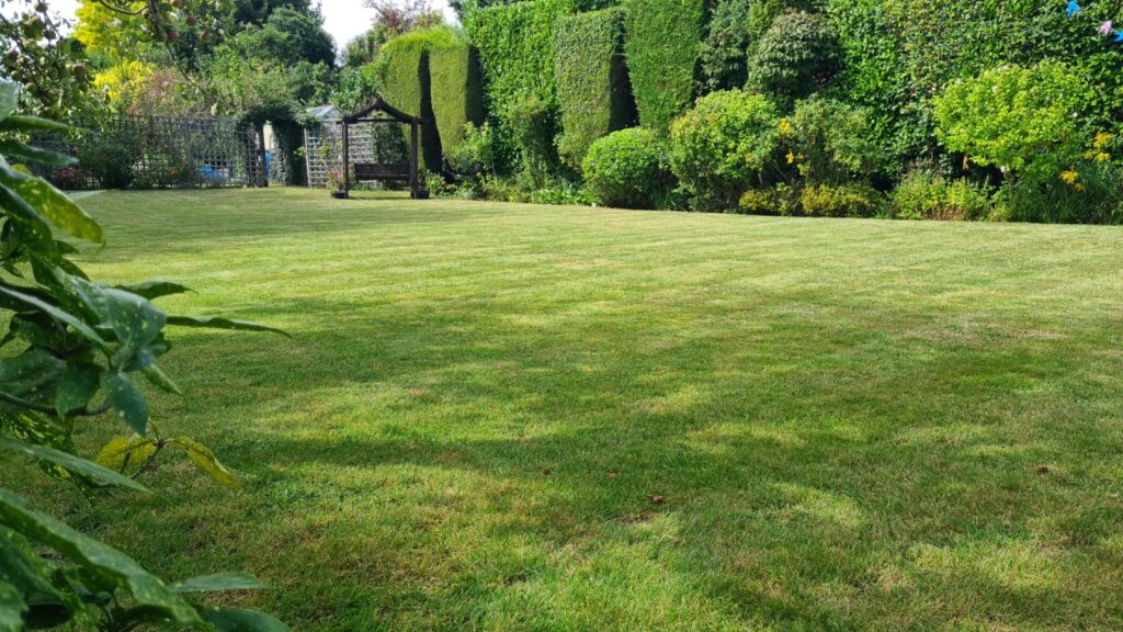 whatsapp image 2026 02 11 at 16.08.16 (1)