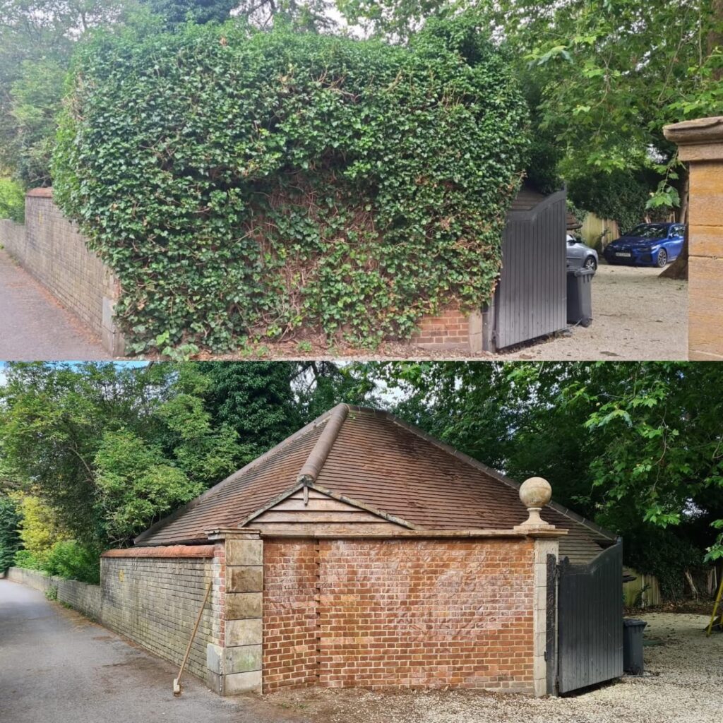 whatsapp image 2026 02 12 at 12.31.34