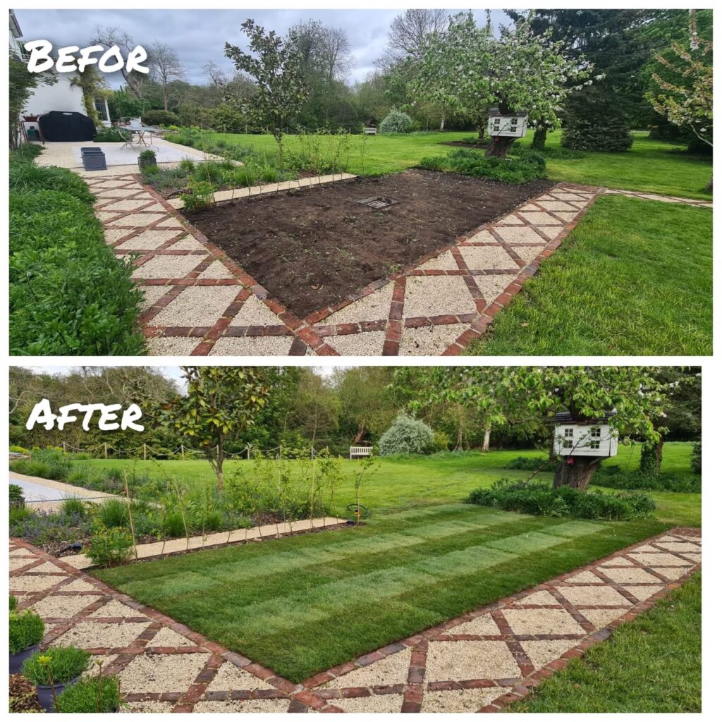 whatsapp image 2026 02 12 at 12.31.34