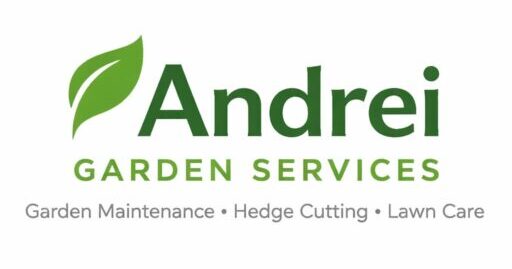 cropped whatsapp image 2026 02 11 at 16.22.28.jpeg